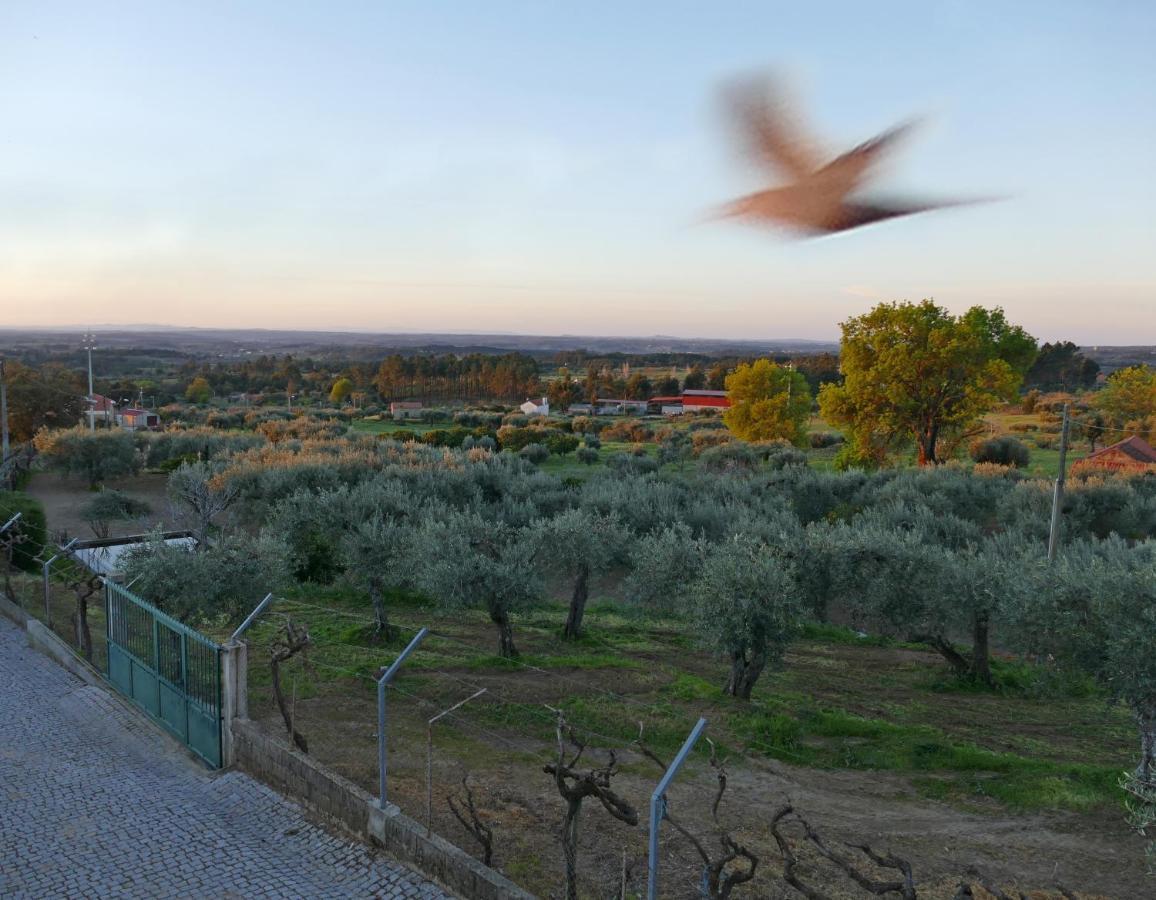 Casa E Piscina Privada Βίλα Fundão Εξωτερικό φωτογραφία